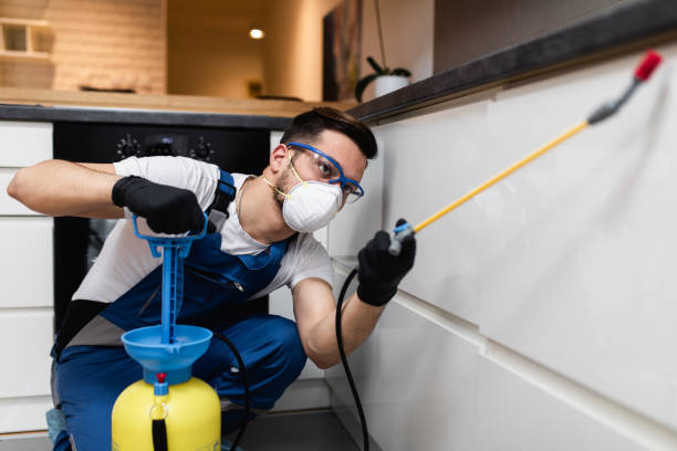 Best Rat Extermination Near Me  in Hopkinsville, KY
