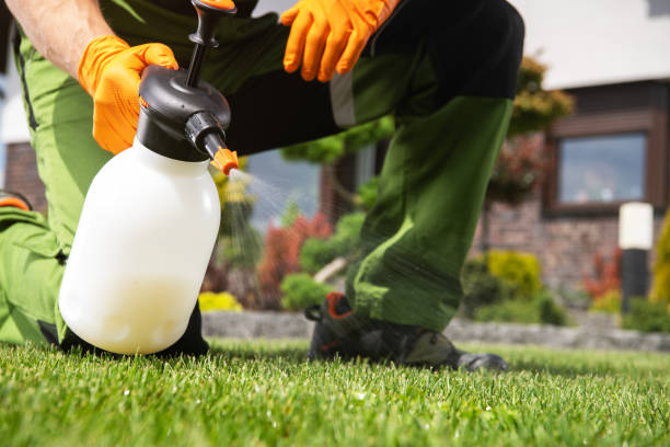 Best Emergency Pest Control  in Hopkinsville, KY