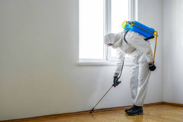 Best Wasp Removal Services  in Hopkinsville, KY