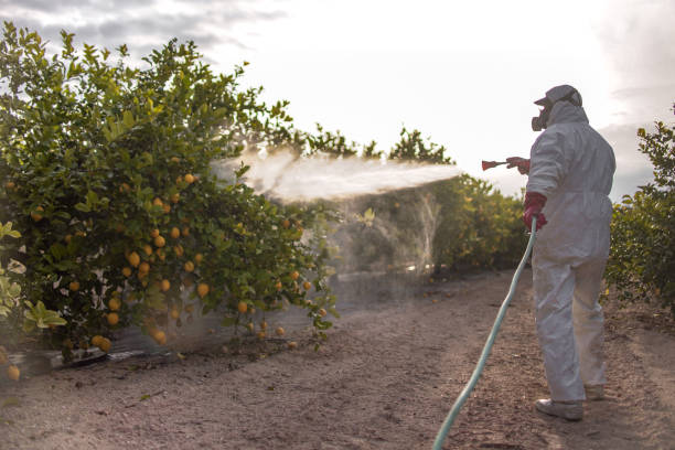 Best Cockroach Control Services  in Hopkinsville, KY