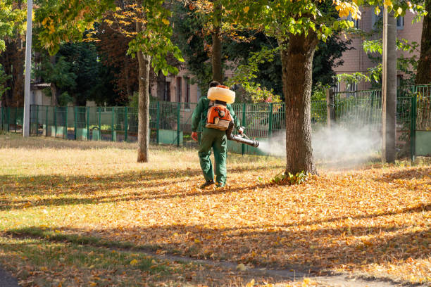Pest Control for Restaurants in Hopkinsville, KY