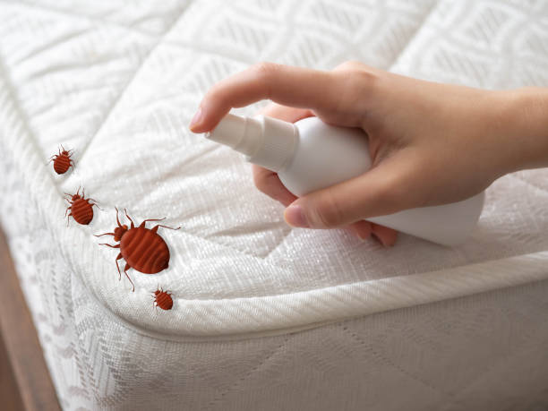 Flea Control Services in Hopkinsville, KY