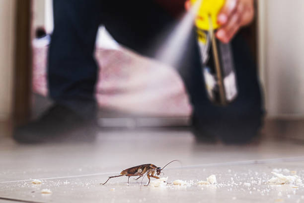 Best Pest Removal Services  in Hopkinsville, KY
