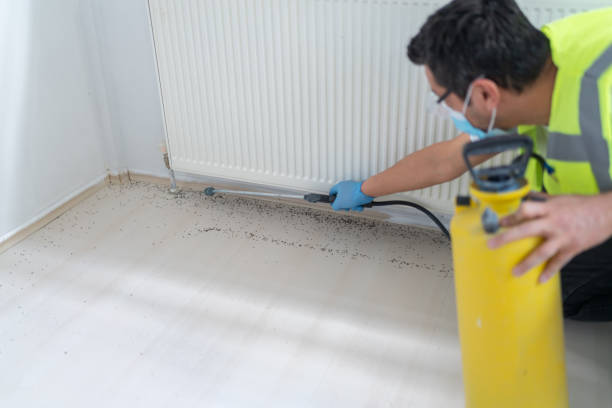 Reliable Hopkinsville, KY Pest Control Solutions
