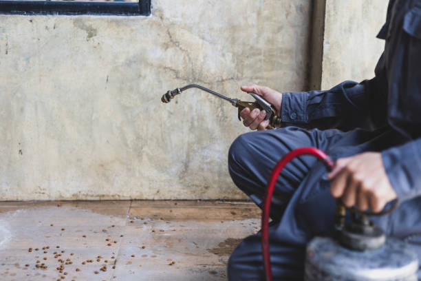 Pest Control Cost in Hopkinsville, KY