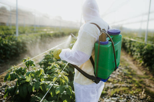 Best Pest Control for Homes  in Hopkinsville, KY